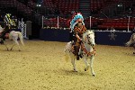 Quadrille - 00183